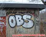 OBS (TIERGARTEN)