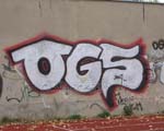 OGS