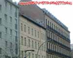 PLO (MITTE)