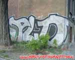 PLO (MITTE)