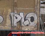 PLO