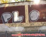 PLO