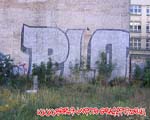 PLO