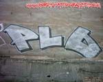 PLO