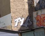 PLO