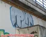 PLO (MITTE)
