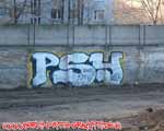 PSY (MITTE)