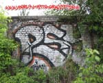 PSY (HALENSEE)