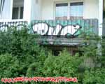 PVC (MITTE)