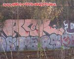 RCK