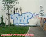 RIP/ (MITTE)