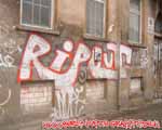 RIP/ (MITTE)