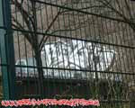 RWRZ (PRENZLAUERBERG)