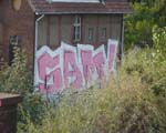 SAM (FRiEDRiCHSHAiN)