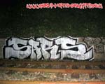 SARS