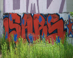 SARS