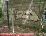 SED (PRENZLAUERBERG)
