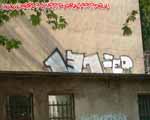 SED (PRENZLAUERBERG)