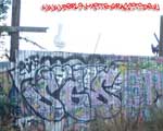 SGS (MITTE)