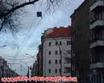 SMC (MITTE)