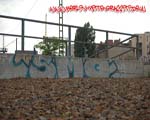 SMQ