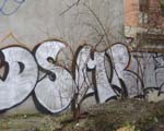 SMR