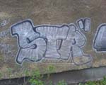 STR