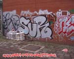 SUR