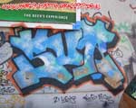SUR