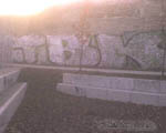 TBK