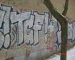 TCF