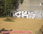 TCK
