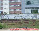 TCK (FRIEDRICHSHAIN)