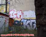 TCK