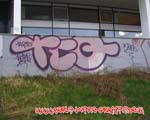 TCQ