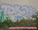 TDK