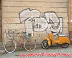 TDZ (MITTE)