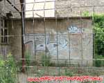 TDZ (MITTE)