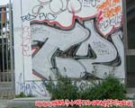 TDZ (MITTE)