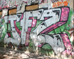 TFZ