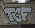 TGF