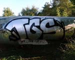 TGS