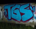 TGS