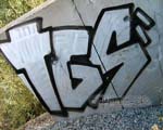 TGS