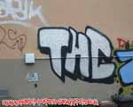 THC (TIERGARTEN)