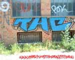 THC (KREUZBERG)