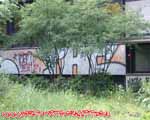 THC (KREUZBERG)