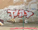TLB (MITTE)
