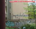 TLB (PRENZLAUERBERG)