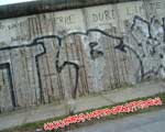 TLB (MITTE)